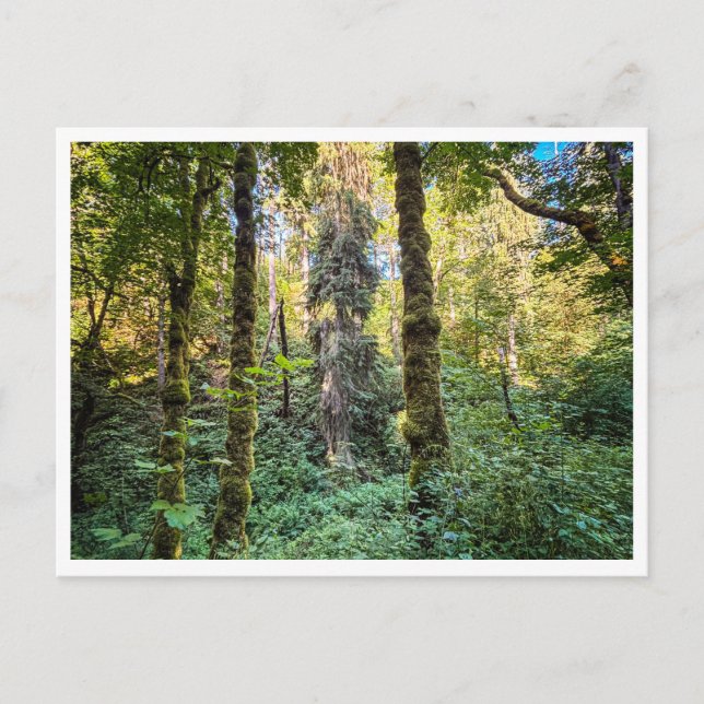 Along the way postcard (Front)