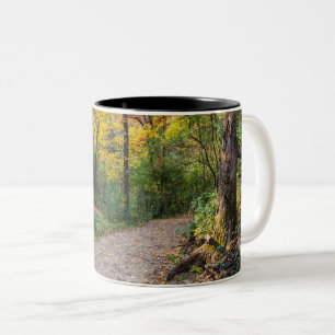 along winding forest trail of lebanon hills Two-Tone coffee mug