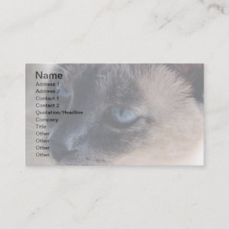 Aloof Siamese Cat Business Card