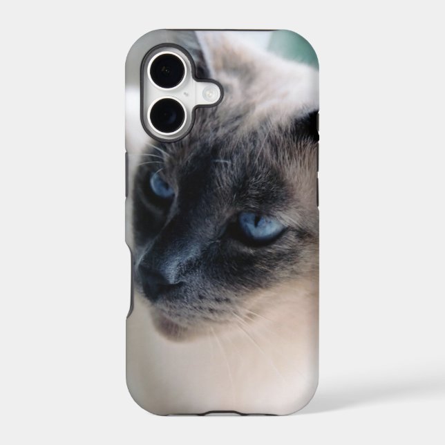 Aloof Siamese Cat Case-Mate iPhone 5 Case (Back)