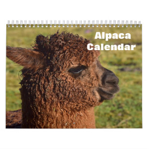 Alpaca 2027 calendar