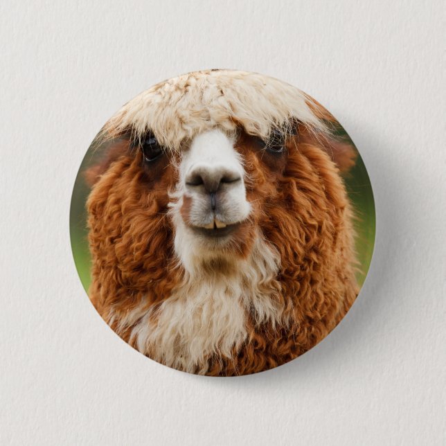 Alpaca 6 Cm Round Badge (Front)