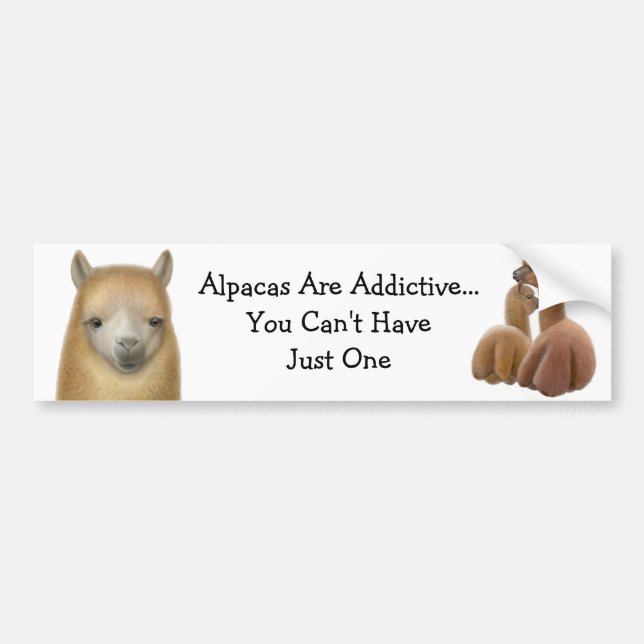 Alpaca Addiction Bumper Sticker (Front)