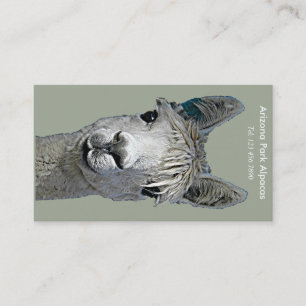 Alpaca Alpakka Alpaka Alpaga Business Card