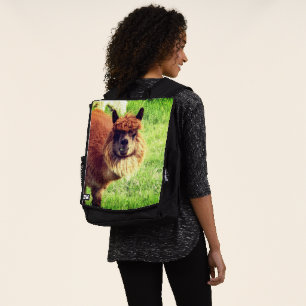 Alpaca Backpack
