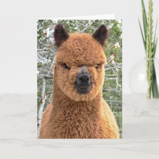 Any Name Age Relation Alpaca LLama funny Personalised Birthday Card