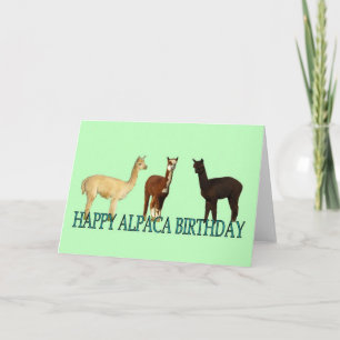 Alpaca Birthday Card
