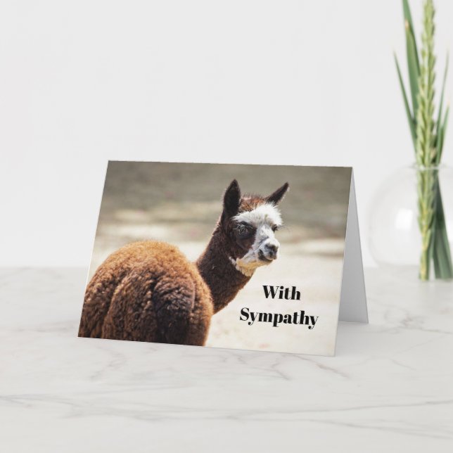 Alpaca Brown and White Animal Photo Sympathy Card (Front)