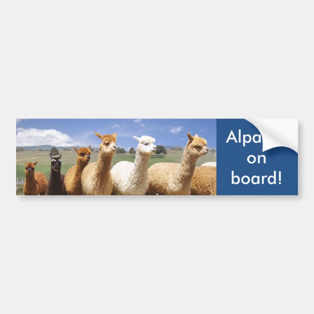 Alpaca Bumper Sticker Alpacas on Board (Front)