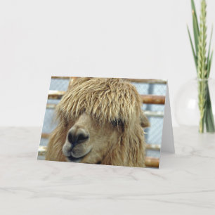Alpaca Card