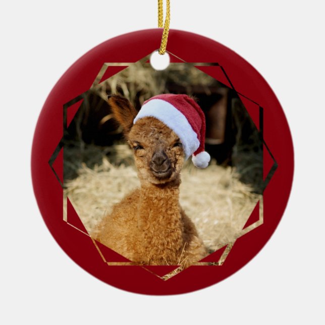 Alpaca Chirstmas Ornament (Front)