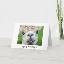 Alpaca Christmas card