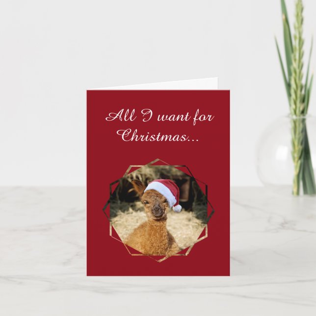Alpaca Christmas Cards (Front)