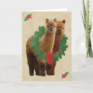 Alpaca Christmas Cards
