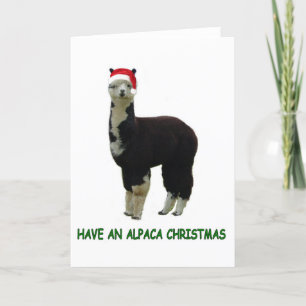Alpaca Christmas Holiday Card
