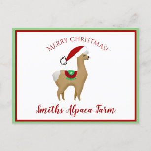 Alpaca Christmas Holiday Postcard