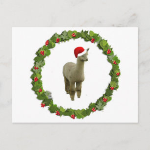 Alpaca Christmas Wreath Holiday Postcard