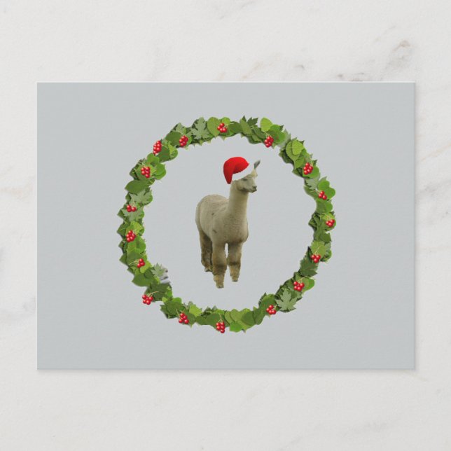 Alpaca Christmas Wreath Holiday Postcard (Front)
