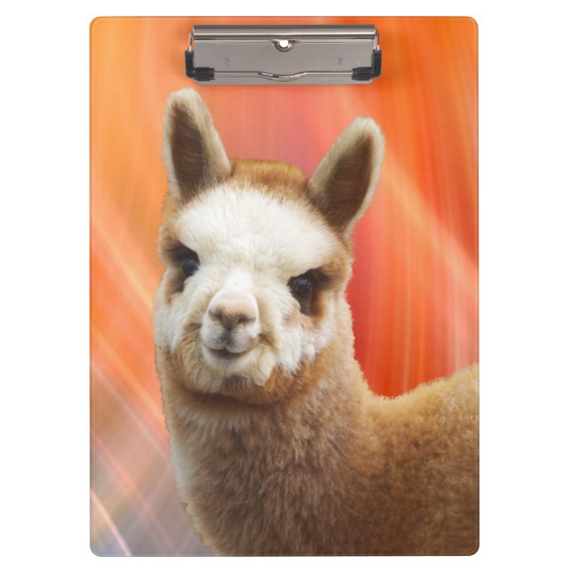 Alpaca Clipboards (Front)