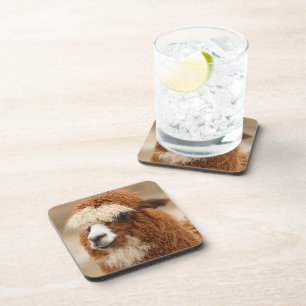 Alpaca coasters