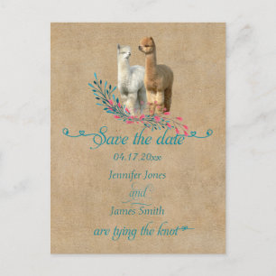 Alpaca Country Save the Date Postcards