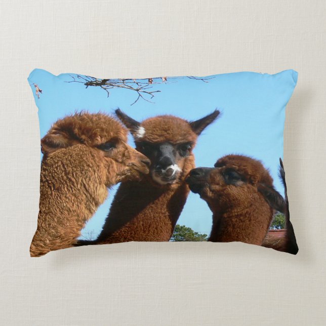 Alpaca Decorative Cushion (Front)