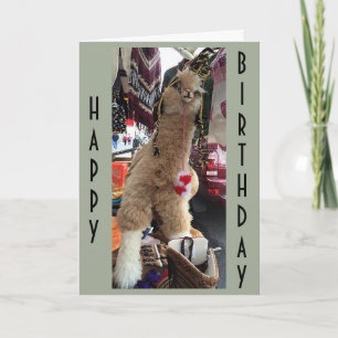 ALPACA GIVE "BIRTHDAY ADVICE" ON HOW TO ENJOY DAY CARD