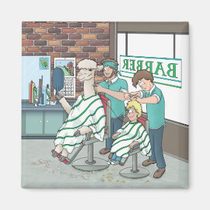 Alpaca haircut  magnet