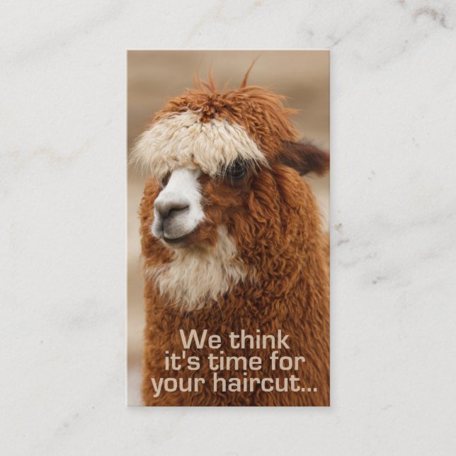 Alpaca hairstylist appointment cards (Front)