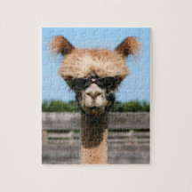 Alpaca Head of PR