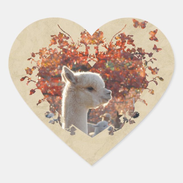 Alpaca Heart Stickers (Front)