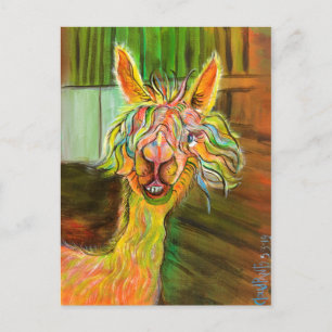 Alpaca - Hilda  postcard