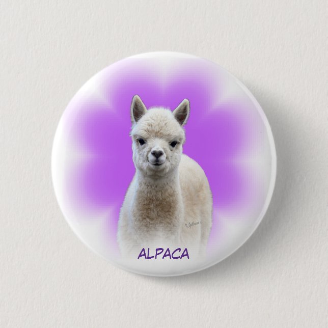 Alpaca Hope Button (Front)