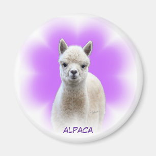 Alpaca Hope Magnet
