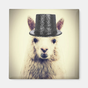 Alpaca in a Tophat Magnet