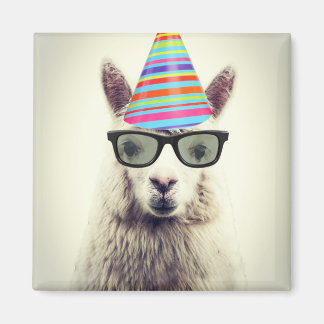 Alpaca in Glasses and Party Hat Magnet