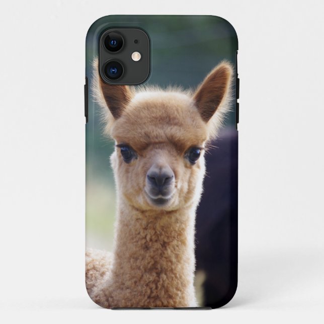 Alpaca iPhone 5 Cases (Back)