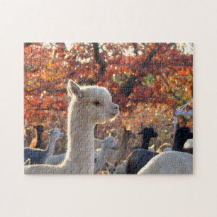 Alpaca Jigsaw Puzzle