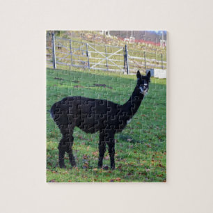 Alpaca Jigsaw Puzzle