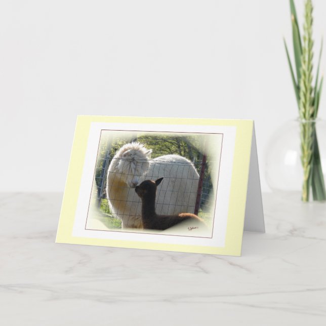 Alpaca Kisses Card (Front)