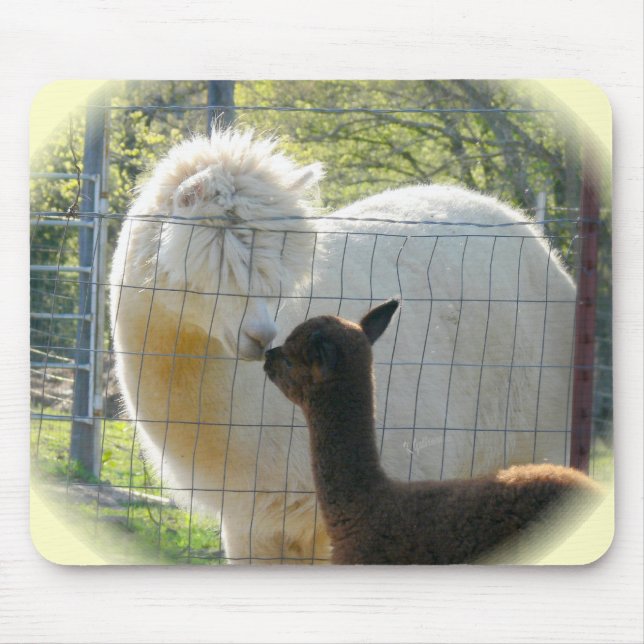 Alpaca Kisses Mousepad (Front)
