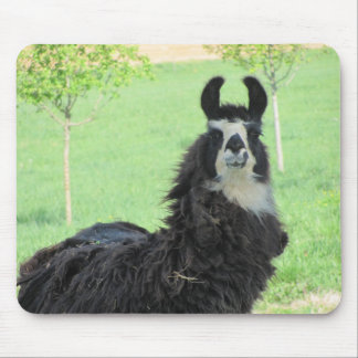Alpaca,Llama mouse pad