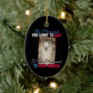 Alpaca Llama -  Push Harder Encouragement  Ceramic Tree Decoration
