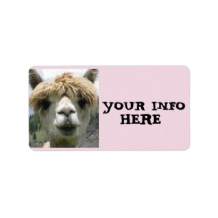 ALPACA LLAMA RETURN ADDRESS LABELS
