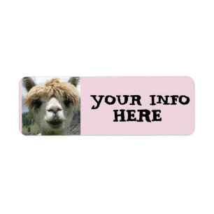 ALPACA LLAMA RETURN ADDRESS LABELS