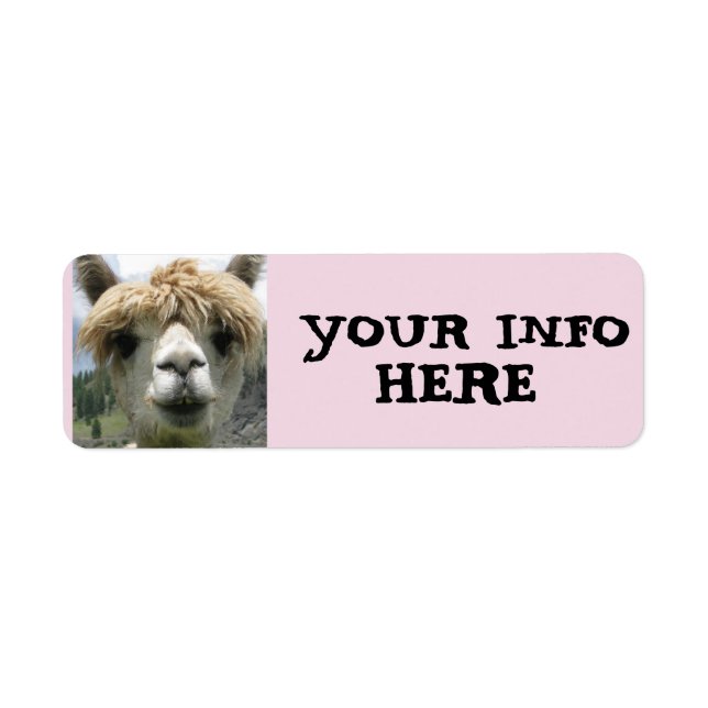 ALPACA LLAMA RETURN ADDRESS LABELS (Front)