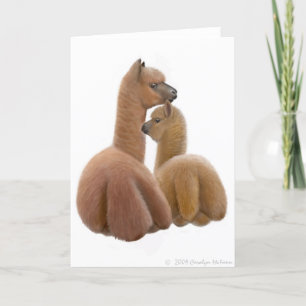 Alpaca Love Greeting Card