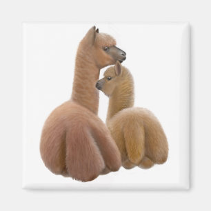 Alpaca Love Magnet