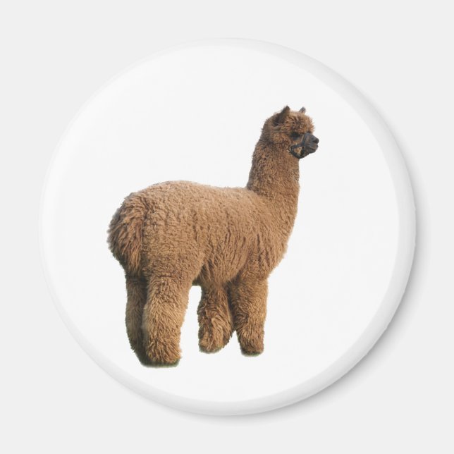 Alpaca Magic Magnet (Front)