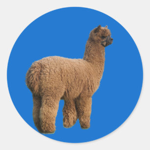 Alpaca Magic Sticker
